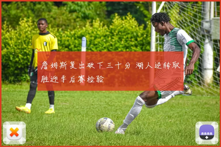詹姆斯复出砍下三十分 湖人逆转取胜迎季后赛检验