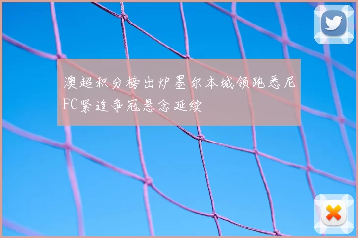 澳超积分榜出炉墨尔本城领跑悉尼FC紧追争冠悬念延续