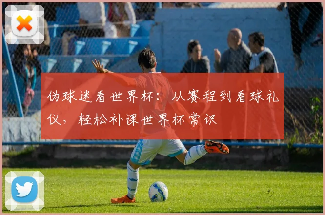 伪球迷看世界杯：从赛程到看球礼仪，轻松补课世界杯常识