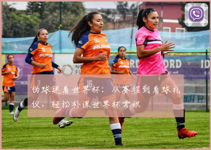 伪球迷看世界杯:从赛程到看球礼仪,轻松补课世界杯常识