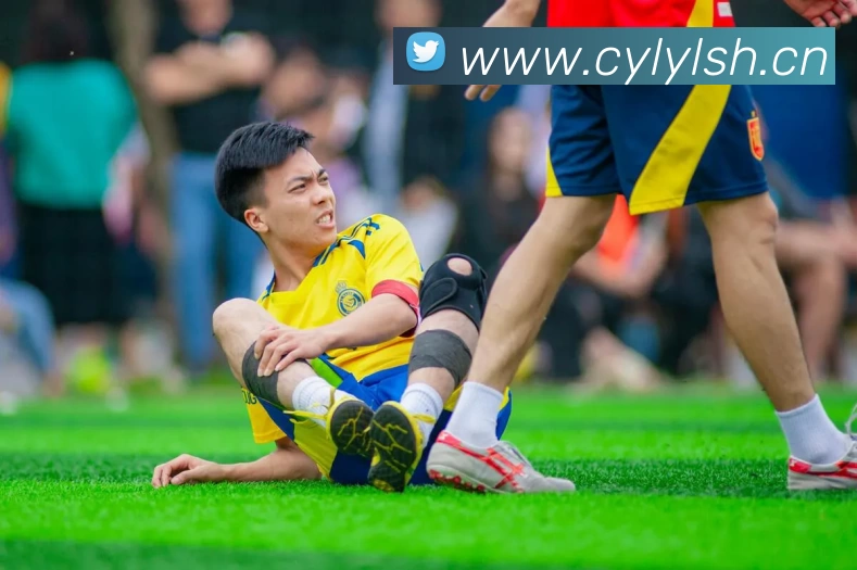 多媒体互动体验